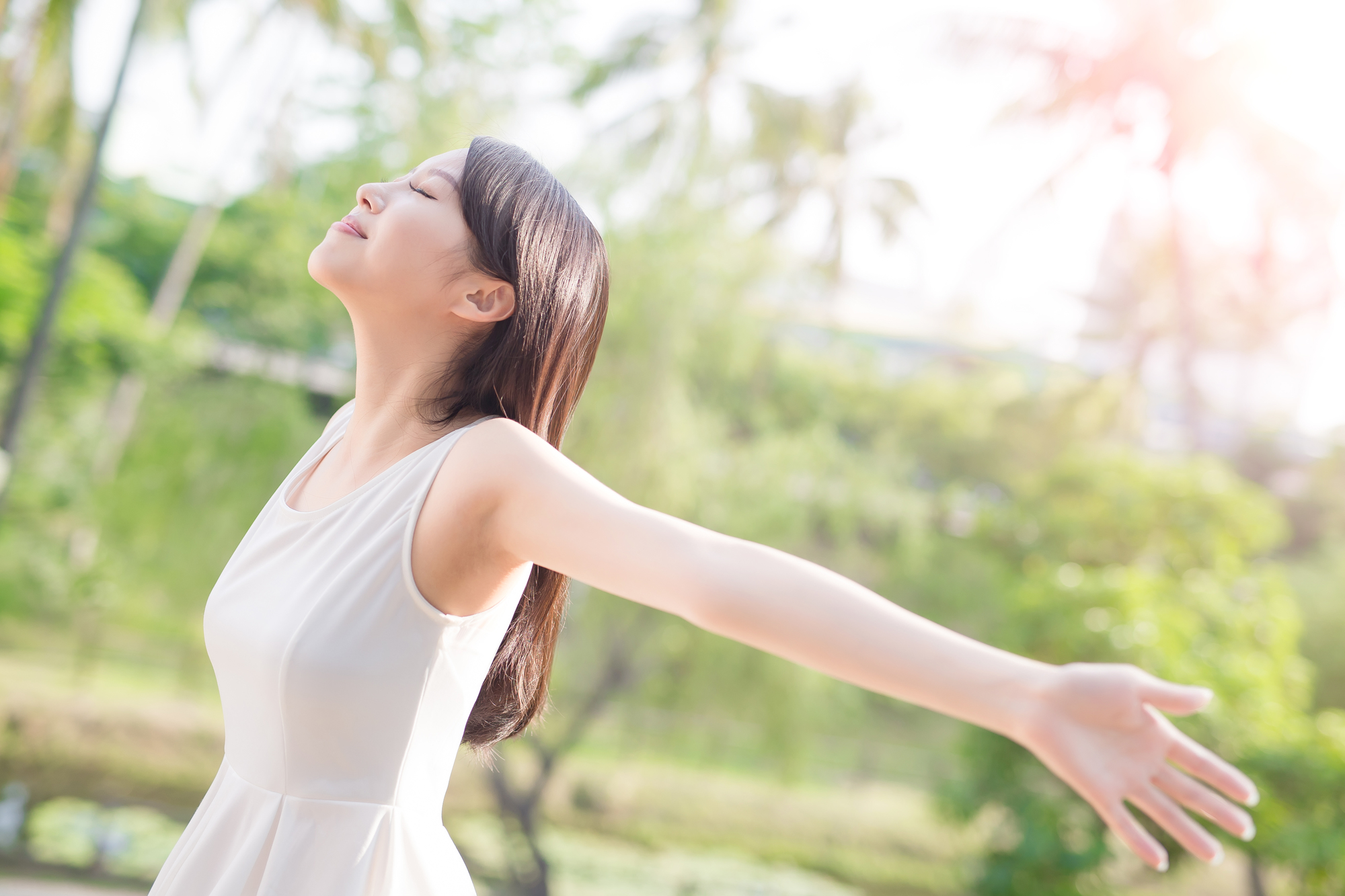 ケイ素の働き